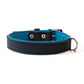 Halsband Bowie - black / ocean blue